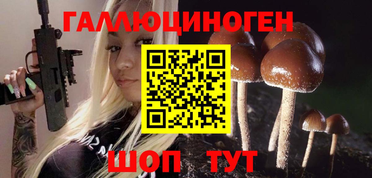 Галлюциногенные грибы MAGIC MUSHROOMS  как найти наркотики  Вход с VPN  Сафоново  Галлюциногенные грибы прущие грибы 
