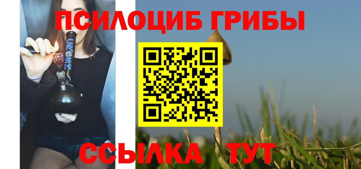 Псилоцибиновые грибы Cubensis Сафоново